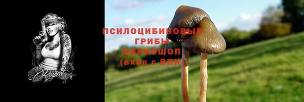 а пвп мука Бородино
