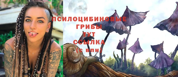 крисы Богданович